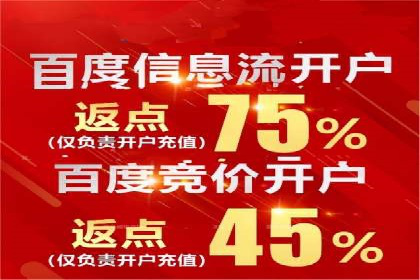 竞价广告投放技巧：如何提高转化率——案例分析